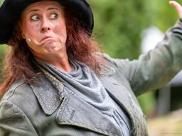 Die Bremer Stadtmusikanten